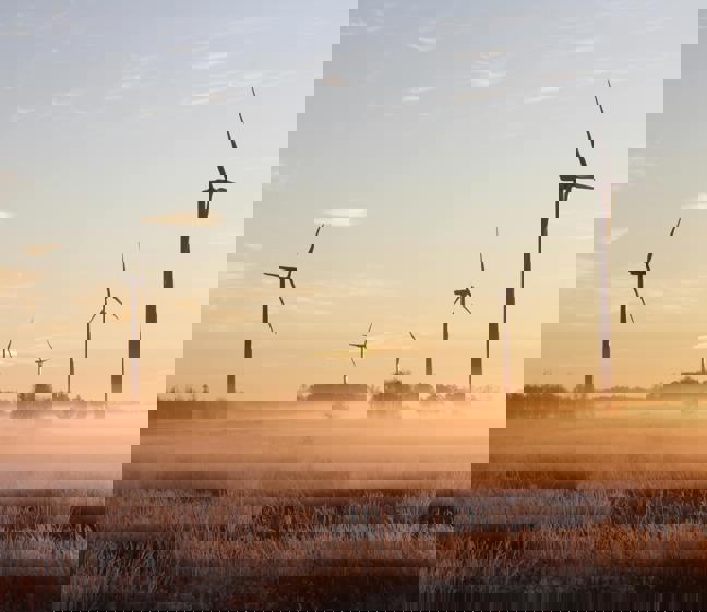 Onshore wind farm at sunrise—low fog and frost; cold‑climate wind turbine operation and energy production