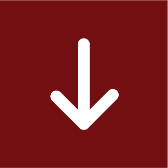 Down Icon