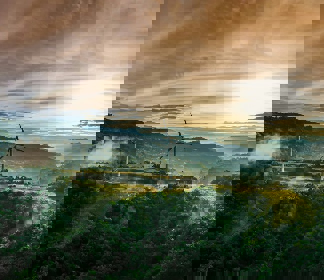 Polytech Offerings 2