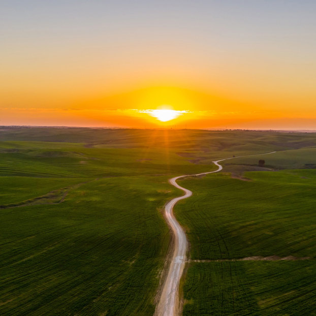 Wind For Life Sunrise Horizon